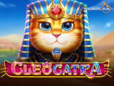 Super cat casino giriş43